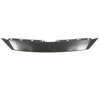 BLIC 6502-07-3453210P Cover, radiator grille