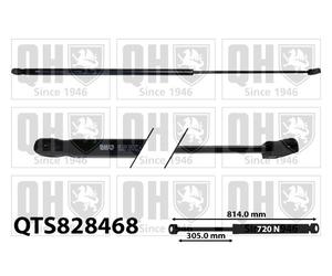 Bonnet Gas Strut for Audi Q2 16-20 81A823359 QTS828468