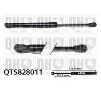 Bonnet Gas Strut for Audi TT 06-14 8J0823359C QTS828011