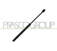 PRASCO VG7199001 Bonnet strut