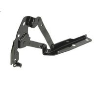 Bonnet related parts BLIC 6802-00-9014452P for TOWN & COUNTRY 3.3 2008-2010