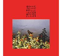 BONNIE PRINCE BILL - I MADE A PLACE - CD ALBUM - Z123z