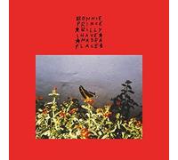 BONNIE PRINCE BILL - I MADE A PLACE - New CD ALBUM - 07 - O123z