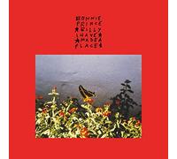 Bonnie Prince Billy - I Made a Place (Vinyl Color Limited Edt.) [VINYL]