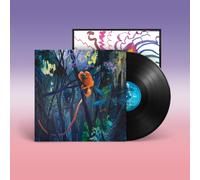 Bonnie Prince Billy - We Are Together Again [VINYL] Pre-sale 06/03/26