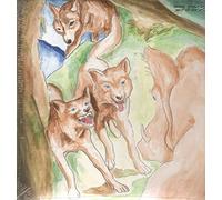 BONNIE PRINCE BILLY - Wolf Of The Cosmos - New Vinyl Record - R1398z