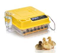 Bonnlo 36 Egg Incubator with Automatic Egg Turning, Humidity Control for Hatching Eggs - Hatch Days Countdown, Temperature Control, Integrated Candler - LED Display, 360 View, 2 Water Tank