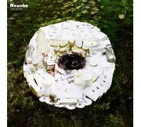 BONOBO - DAYS TO COME - Vinyl Record 12 RECORD - 30 - E123z