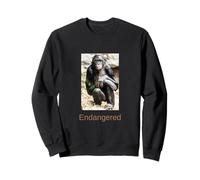 Bonobo Shirt Endangered Bonobo Endangered Great Ape Sweatshirt
