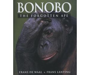 Bonobo: The Forgotten Ape