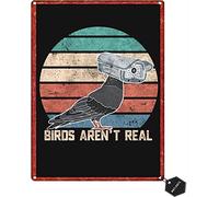 Bonoff Funny Birds Arent Real College Apartment For Man Cave Living Room Vintage Decor Poster Wall Art Decor Metal Sign Poster 8X12 Inches