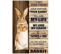 Bonoff Rabbit I Am Your Friend You Partner Metal Funny Vintage Metal Sign Poster 8X12 Inches