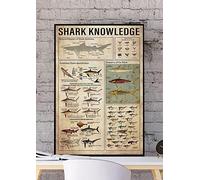 Bonoff Shark Knowledge Poster, Shark Tooth Identification Guide, Kids Room Decor, 12x8 Inches