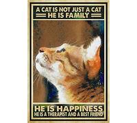 Bonoff Tabby Ginger Cat Metallic Tin Poster Cat Lover Wall Art Decor Metal Sign Poster 8X12 Inches
