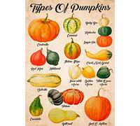 Bonoff Types Of Pumpkin Pumpkin Knowledge Pumpkin Pumpkin Home Decorign Fallign Autumnign Rustic Vintage Decor Poster Wall Art Decor Metal Sign Poster 8X12 Inches