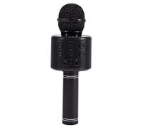 BONOOL Portable Microphone Home Mic Stereo Speaker Player USB Studio KTV Music Online