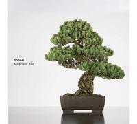 Bonsai: A Patient Art