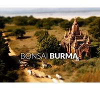 Bonsai Burma - Mini Myanmar