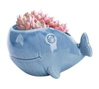 Bonsai Pot Succulent Pot, 4.7x2.4x2.4 Inch Ocean Blue Fish Ceramic Flower Pots with Drainage Hole, Decorative Desktop Bonsai for Cacti Style 1