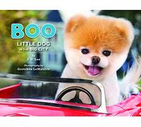 Boo: Little Dog in the Big City (Boo the Dog)