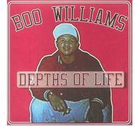 Family Affair Vol. 1 (Various Artists) [VINYL]