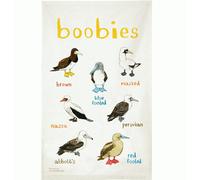 Boobies Tea Towel - Colourful Birds With a Cheeky Name