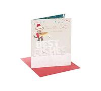 Boofle From The Cat Cute Best Fishes Christmas Greeting Card