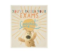 Boofle Passed Exams Card - You’ve Passed your Exams Card - Congratulations Card - Cute Exams Pass Card, Multi (696342-0-1)