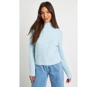 Boohoo Chunky Pointelle Knitted High Neck Crop Jumper In Baby Blue baby blue M