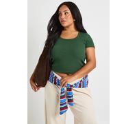 Boohoo Plus Basic Rib Scoop Neck Fitted Short Sleeve Top In Forest forest 20