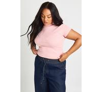 Boohoo Plus Basic Rib Short Sleeve Fitted Top In Pink pink 24