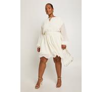 Boohoo Plus Chiffon Long Sleeve Skater Dress In Cream cream 20
