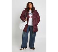 Boohoo Plus Hooded Cinched Waist Puffer Jacket In Chocolate chocolate 26