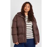 Boohoo Plus Hooded Puffer Coat In Mocha mocha 22