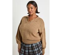 boohoo Women's Plus Knitted Rib Hem Collared Jumper in Taupe | Size: 24/26