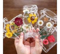 Book Mark Making Kits Pressed Dried Flowers Book Markers