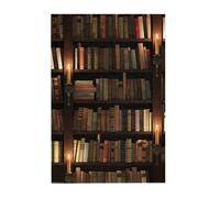 Book Room Mysterious Library Printed Wooden Puzzle 300 Piece, Cute Puzzle Game in Plastic Box for Family Entertainment and Brain Training Gifts