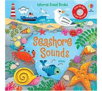 BOOKS4PEOPLE Usborne Seashore Sounds (Sound Books) By Sam Taplin