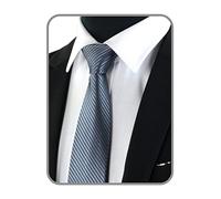 Boolavard Classic Men's Silk Tie Necktie Woven JACQUARD Neck Ties (Grey)