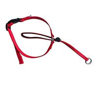 Boolavard Dog Collars & Leashes Pet Head Collar Gentle Control Leash Leader Stop Pulling Training Tool No-Pull Painless (Small, Red)