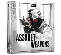 Boom Assault Weapons Designed