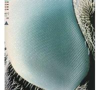 Boom Boom Satellites - Fog Bound