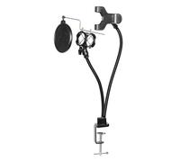 Boom Mic Stand, Small Mic Stand, Mic Stand Desk Boom Arm Adjustable, for Voice-Over, Games, Recording