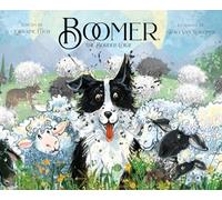 Boomer the Border Collie