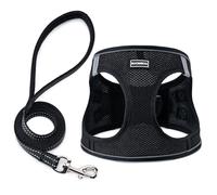 BOOMIBOO Dog Harness with Leash Set, No Pull Adjustable Reflective Step-in Puppy Pet Vest Harnesses for Small Medium Large Dogs and Cats,Black XXS