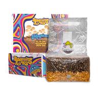 Booming Acres | The Magical 5lb All in One Mushroom Growing Bag Kit | Harvest Your own Happiness | Discover The Magic of Growing Mushrooms [5lb Grow Bag]