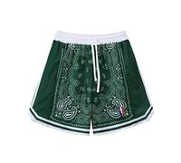 BOOMLEMON Men's Basketball Shorts Workout Athletic Paisley Shorts Mesh Print Running Short Pants, Green, X-Large