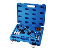 BOOMSTART 19-Piece Injector Seal Seat Cleaning Tool Set - Injector Shaft & Seat Cleaning Kit with Brushes, Extensions & Sealing Plugs - Diesel Injector Manhole Cleaning Kit