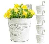 BOOMTOP 5Pcs Metal Hanging Flower Pots, Vintage Plant Pots Hanging Planters with Detachable Hook for Railing Fence Balcony Garden Home Decoration (Vintage White, 10cm)