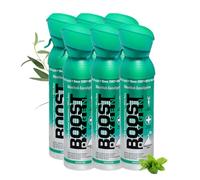 Boost Oxygen Portable Oxygen Cylinder with 95% Oxygen - 30L, 6x5L Oxygen Canister with Oxygen Mask for More Than 600 Inhalations - Portable Oxygen Can, Oxygen for Home use (Menthol-Eucalyptus Flavour)
